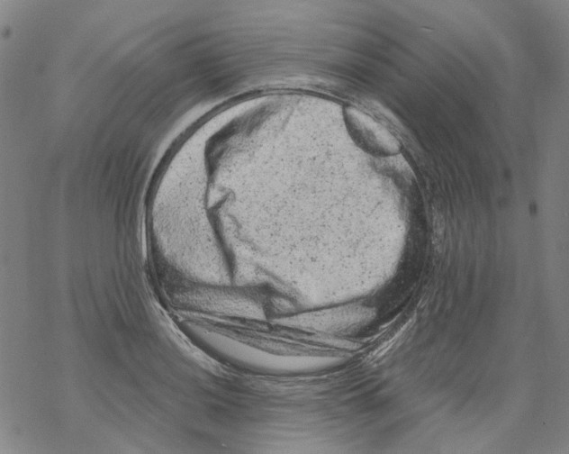 X0000068281036200605191848