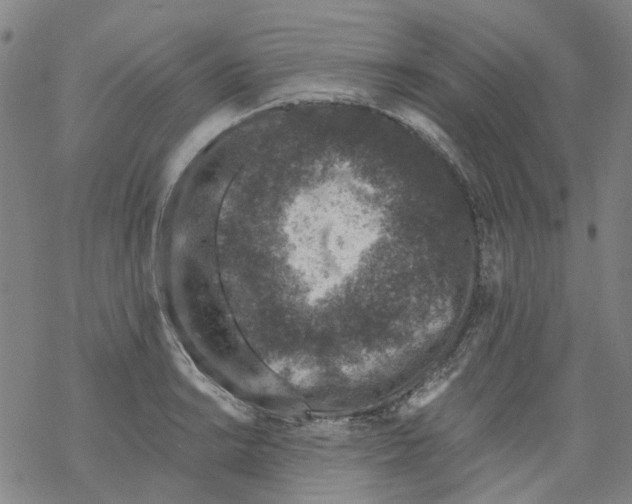 X0000068281038200605191848