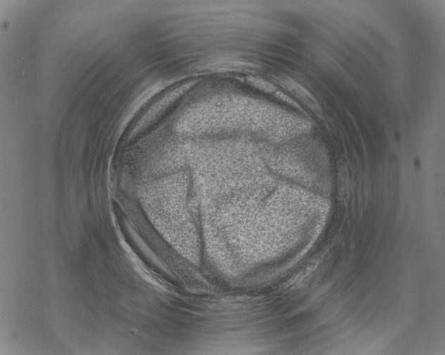 X0000068281039200605191848