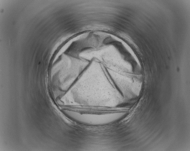 X0000068281040200605191848