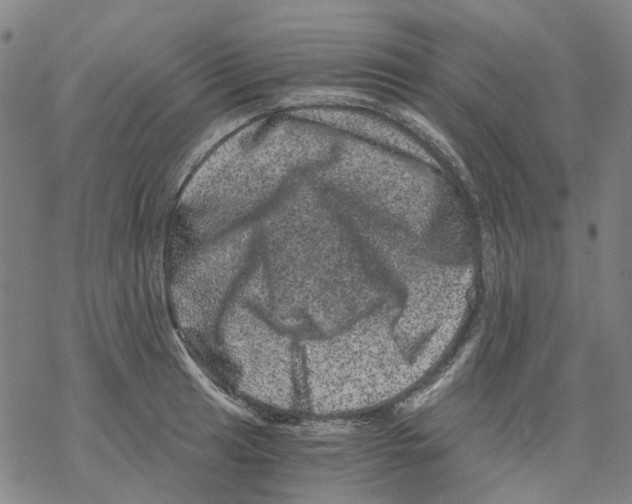 X0000068281041200605191848