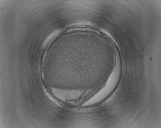 X0000068281042200605191848