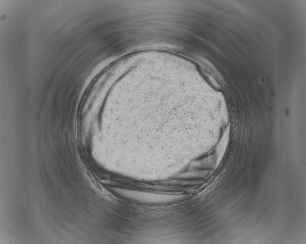 X0000068281044200605191848