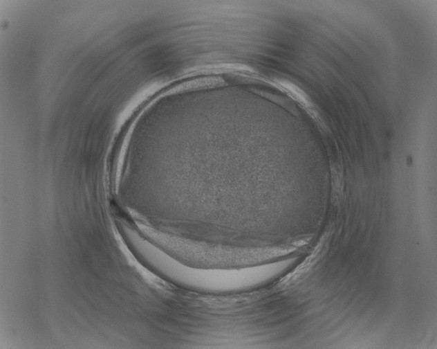 X0000068281046200605191848