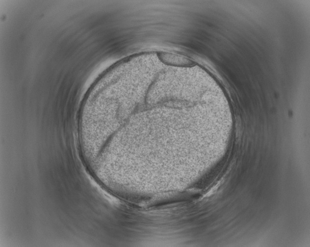 X0000068281048200605191848