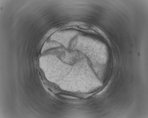 X0000068281049200605191848