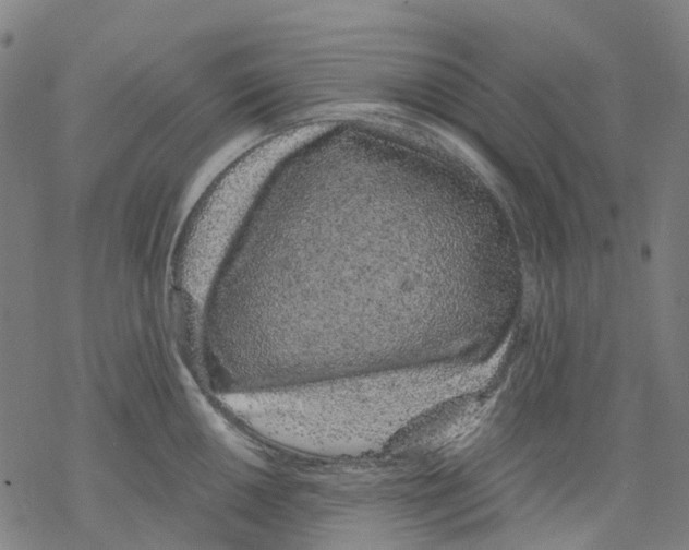 X0000068281050200605191848