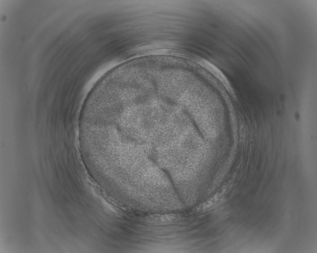 X0000068281051200605191848