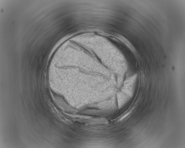 X0000068281052200605191848