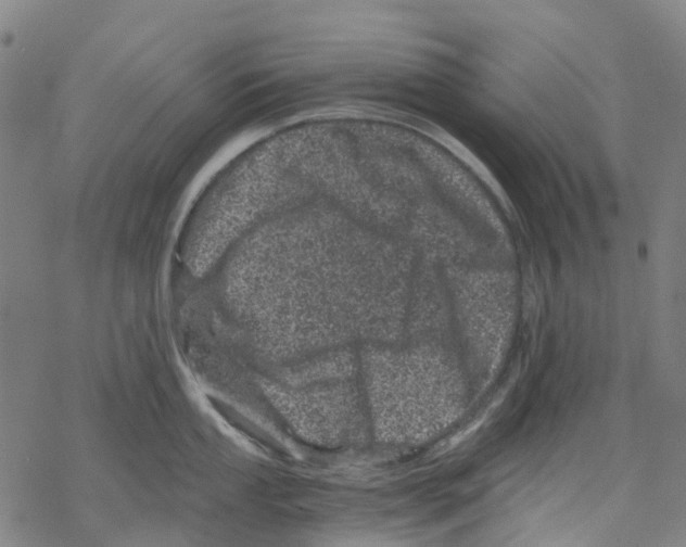 X0000068281053200605191848