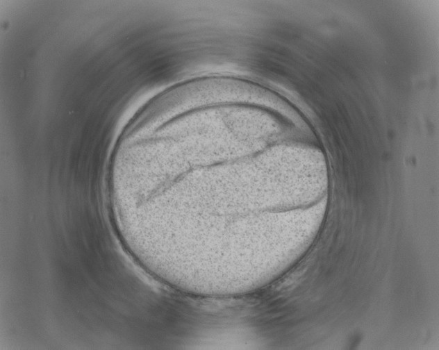 X0000068281056200605191848