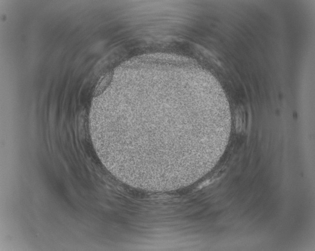 X0000068281059200605191848