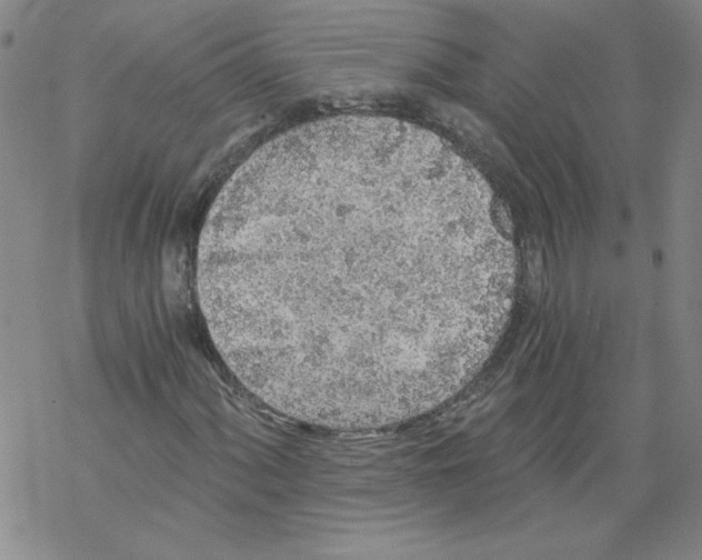 X0000068281060200605191848