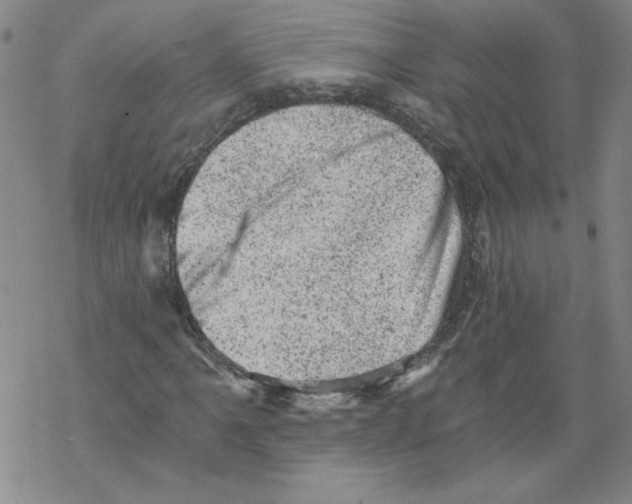 X0000068281061200605191848