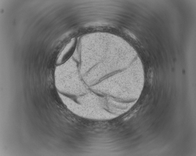 X0000068281062200605191848