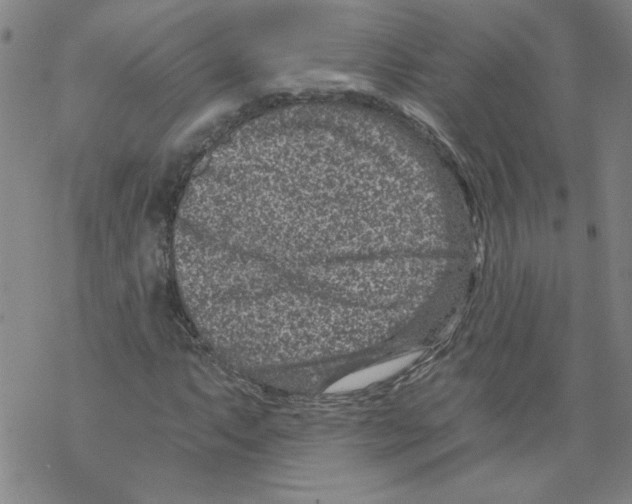 X0000068281063200605191848