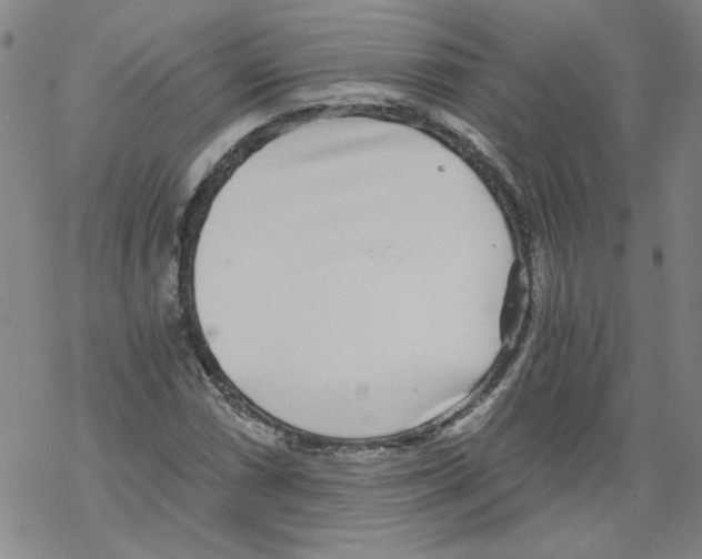 X0000068281066200605191848