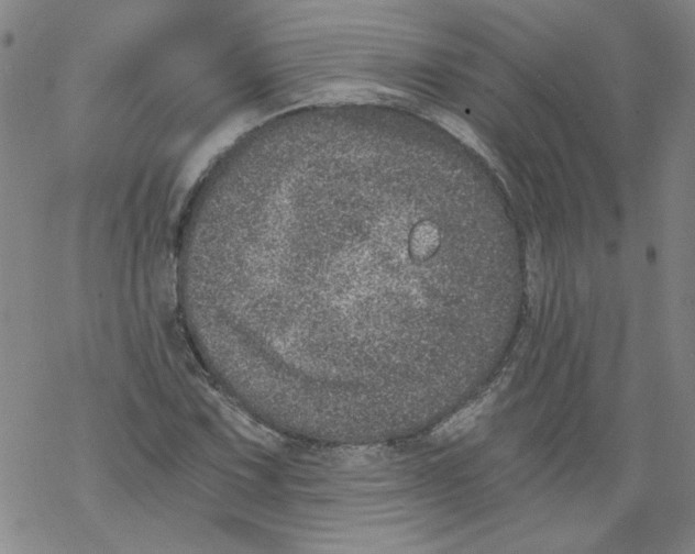 X0000068281067200605191848