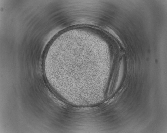 X0000068281068200605191848