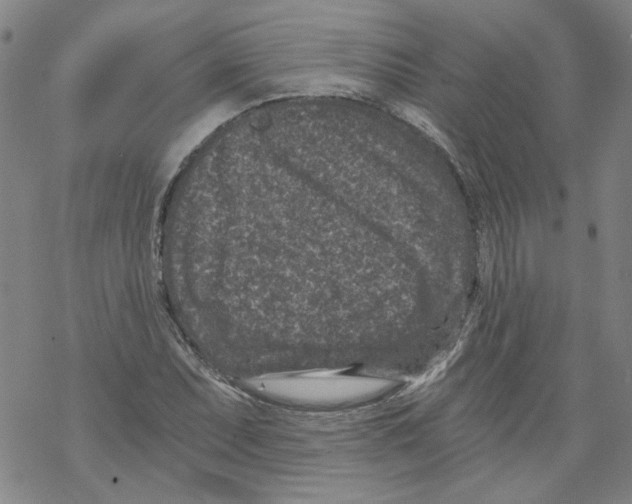 X0000068281071200605191847