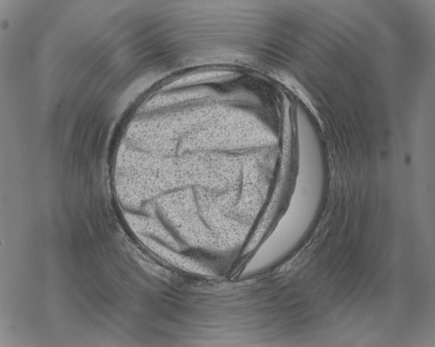 X0000068281072200605191847