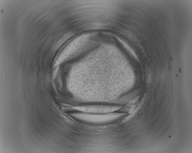 X0000068281073200605191847