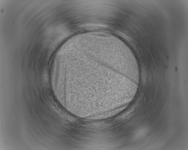 X0000068281074200605191847