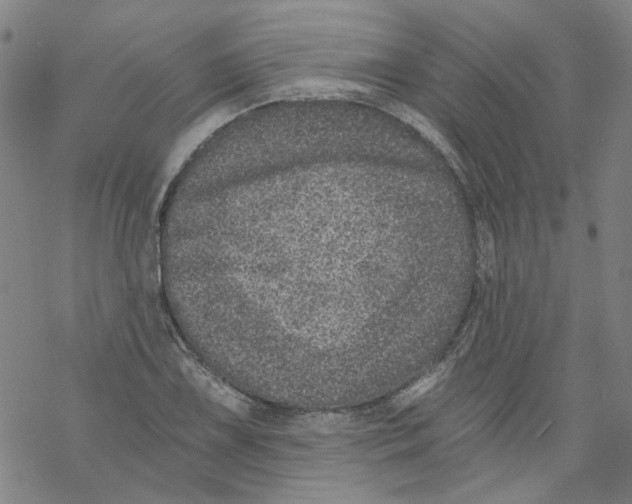 X0000068281075200605191847