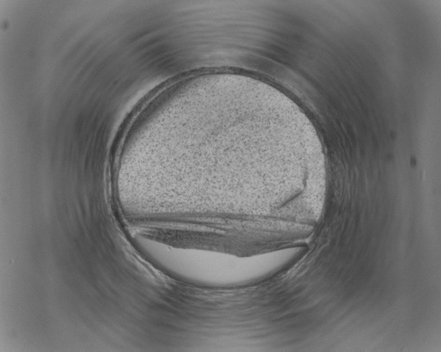 X0000068281076200605191847