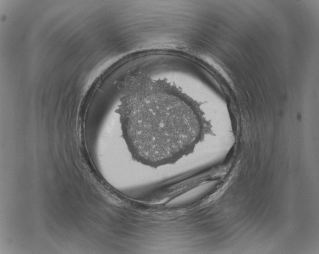 X0000068281077200605191847