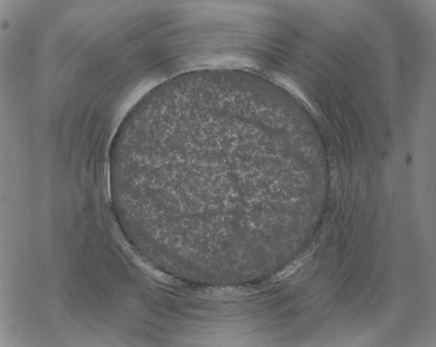 X0000068281079200605191847