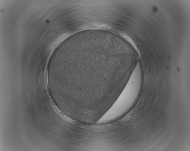 X0000068281080200605191847