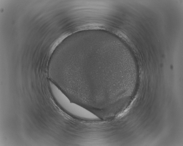 X0000068281081200605191847