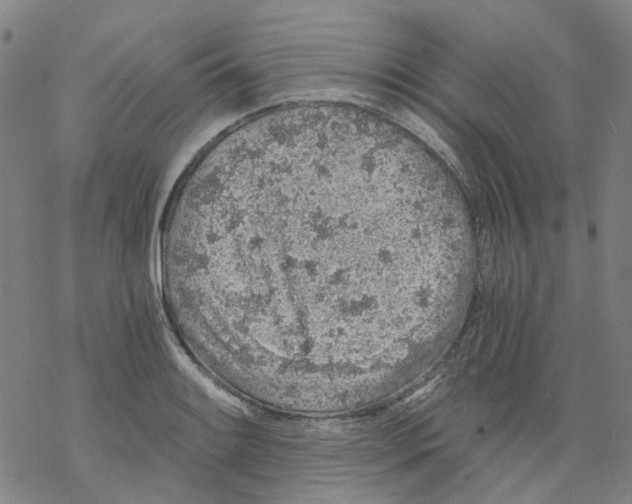 X0000068281084200605191847