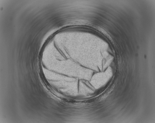 X0000068281085200605191847