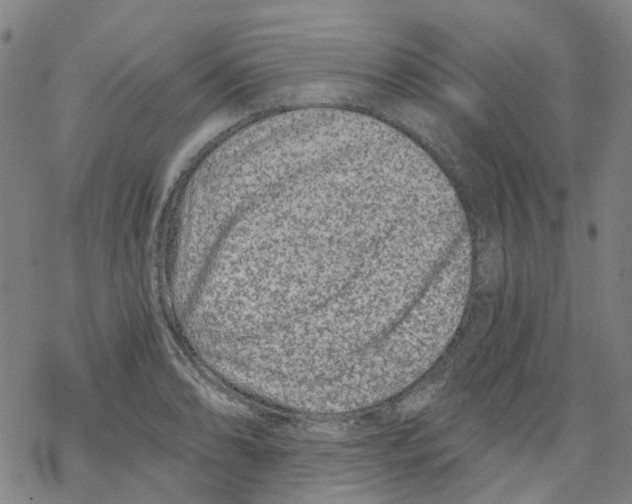 X0000068281086200605191847