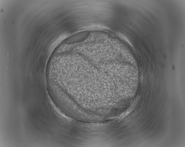 X0000068281087200605191847