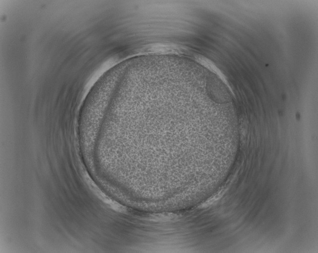 X0000068281091200605191847