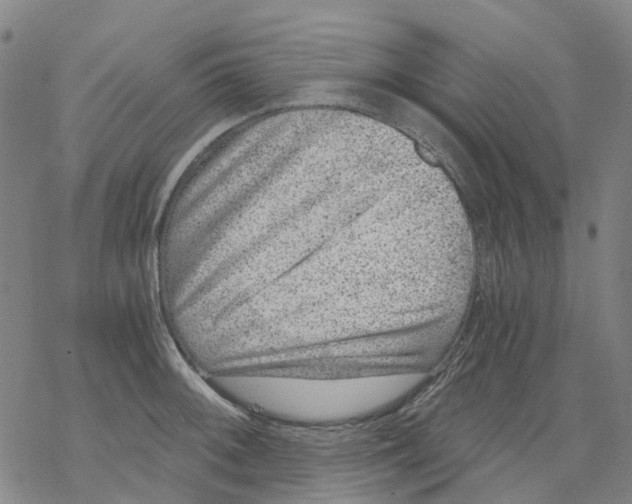 X0000068281092200605191847