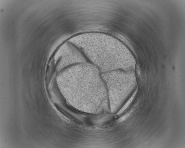 X0000068281093200605191847