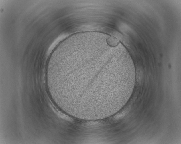 X0000068281094200605191847