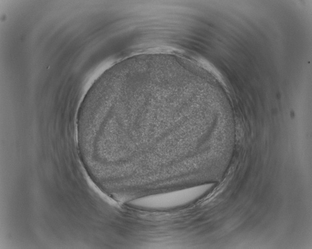 X0000068281095200605191847