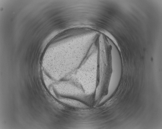 X0000068281096200605191847