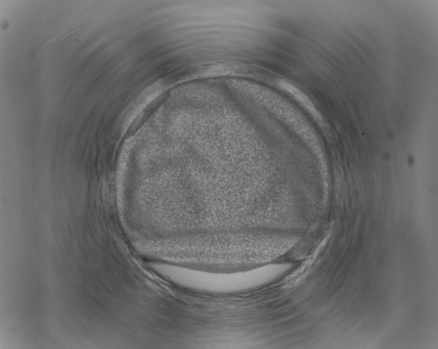 X0000068281097200605191847