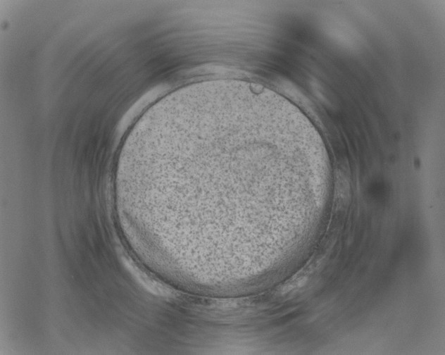 X0000068281098200605191847