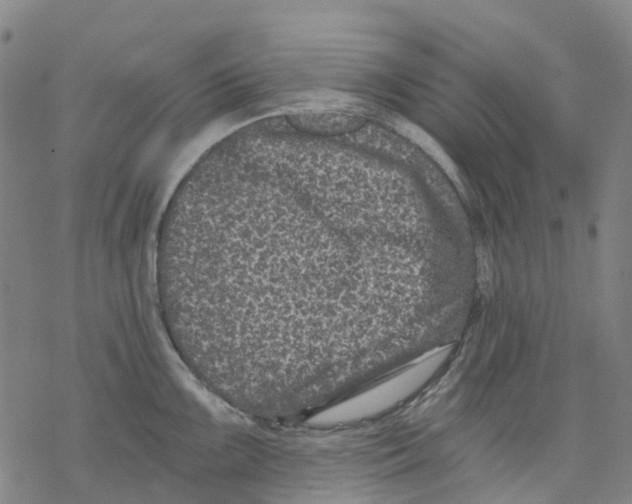 X0000068281099200605191847