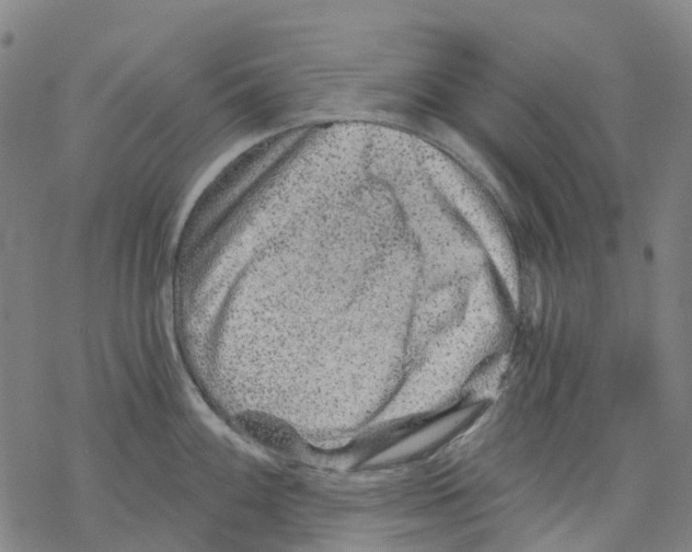 X0000068281100200605191847