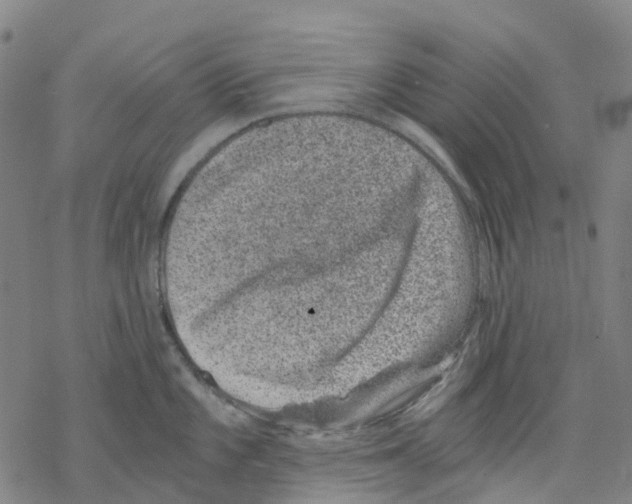 X0000068281101200605191847