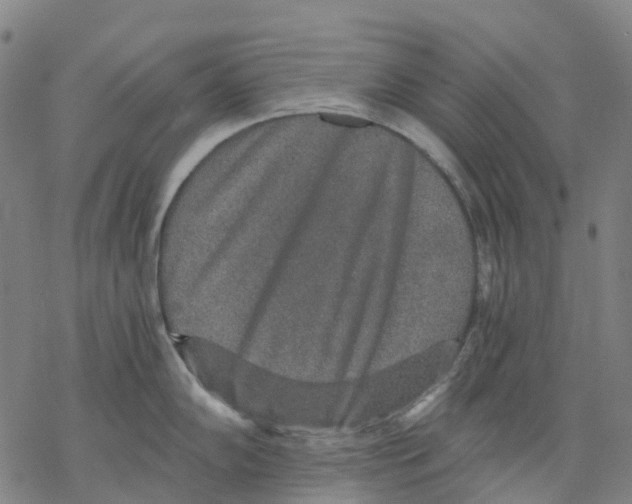 X0000068281102200605191847