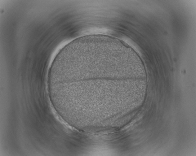 X0000068281104200605191847